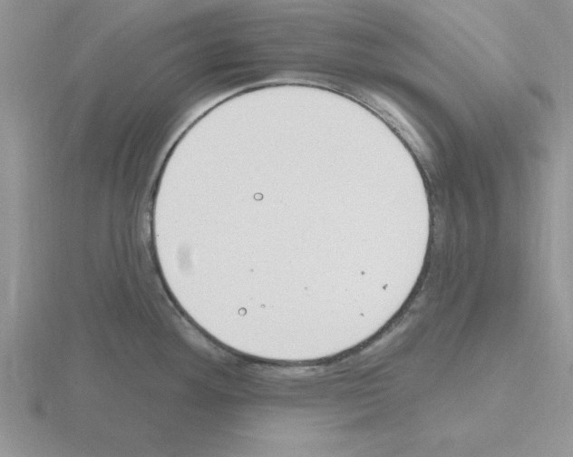 X0000115421292200912151555