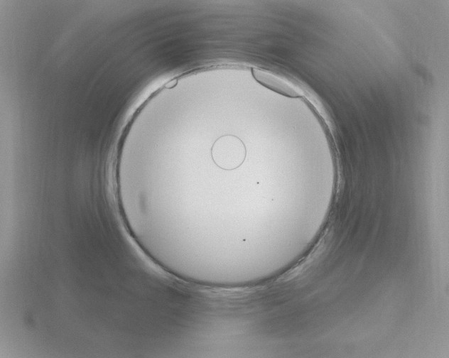 X0000115421293200912151555