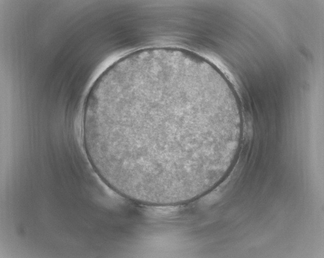 X0000115421294200912151555