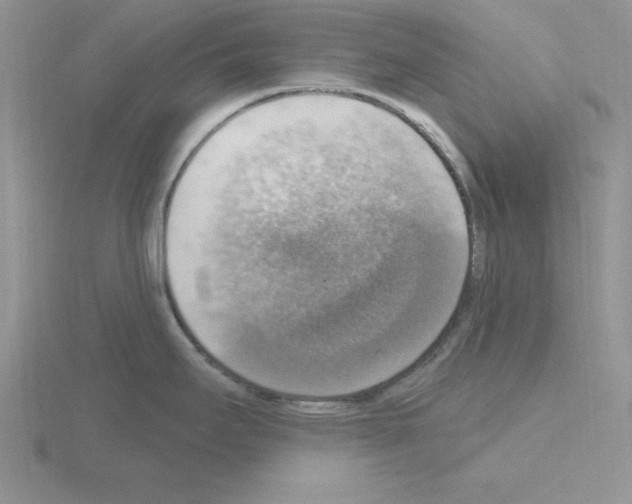 X0000115421295200912151555