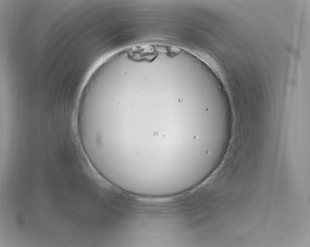 X0000115421296200912151555