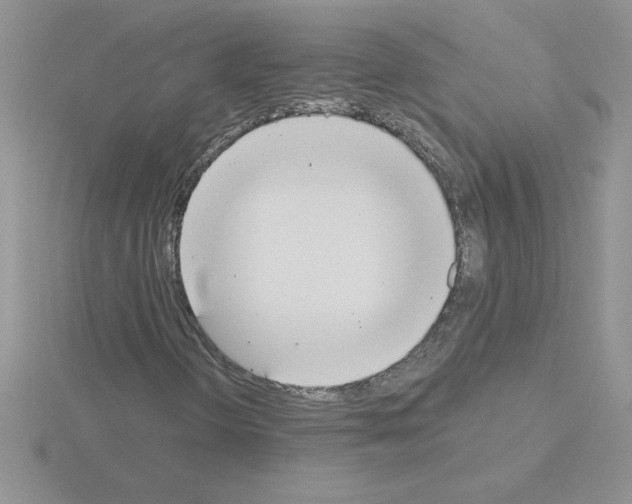 X0000115421298200912151554