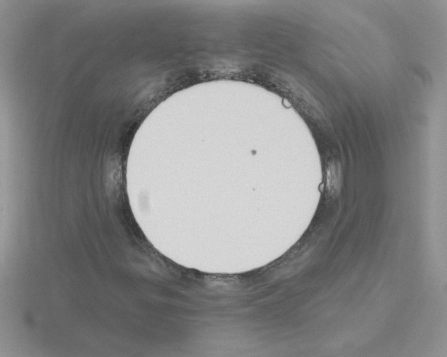 X0000115421299200912151554