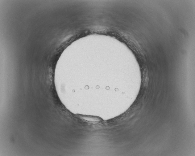 X0000115421301200912151554