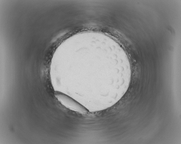 X0000115421302200912151554