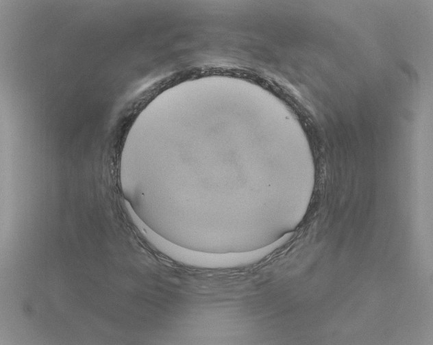 X0000115421303200912151554