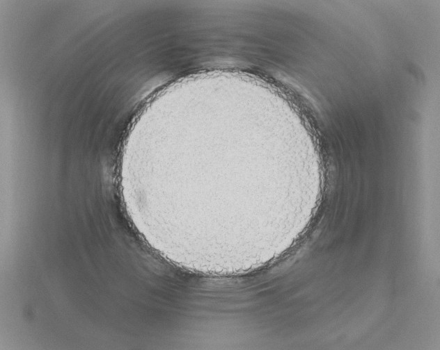 X0000115421305200912151554