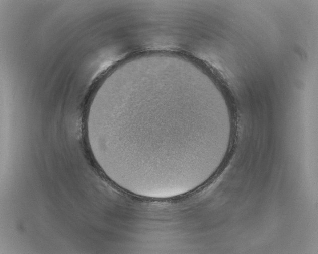 X0000115421306200912151554