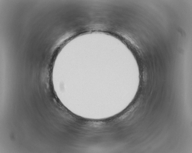 X0000115421309200912151554