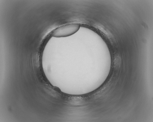 X0000115421310200912151554