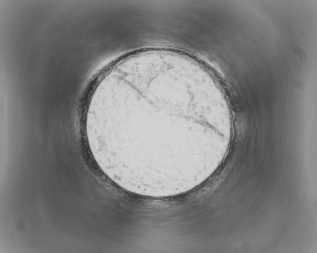 X0000115421311200912151554