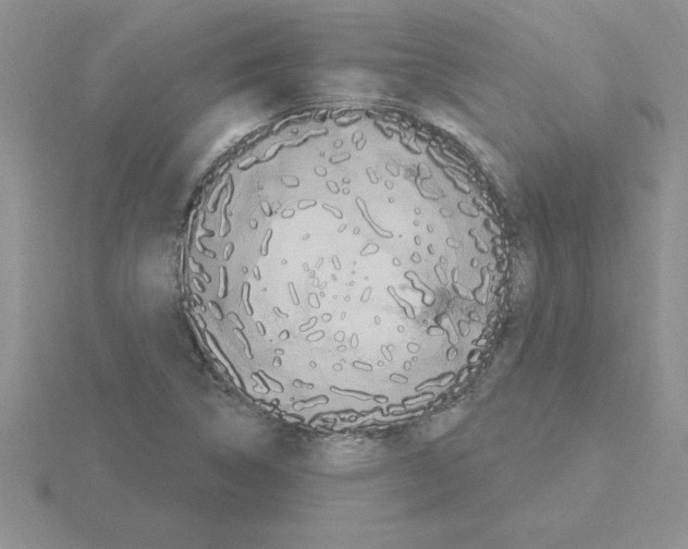 X0000115421314200912151554