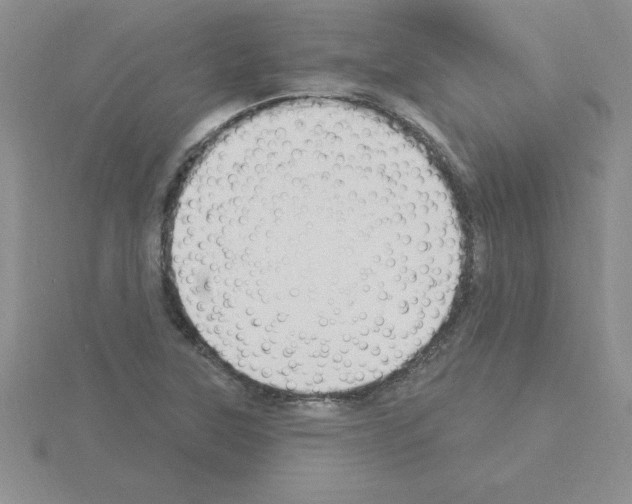 X0000115421315200912151554