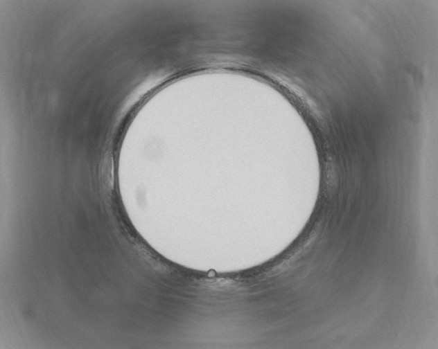 X0000115421317200912151554