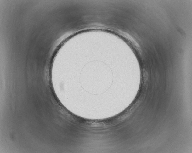 X0000115421318200912151554