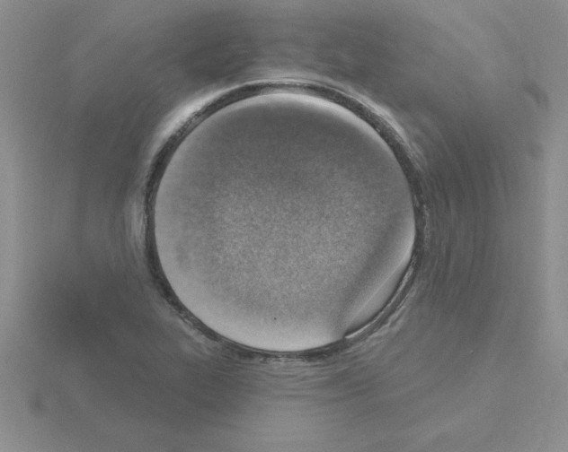 X0000115421319200912151554