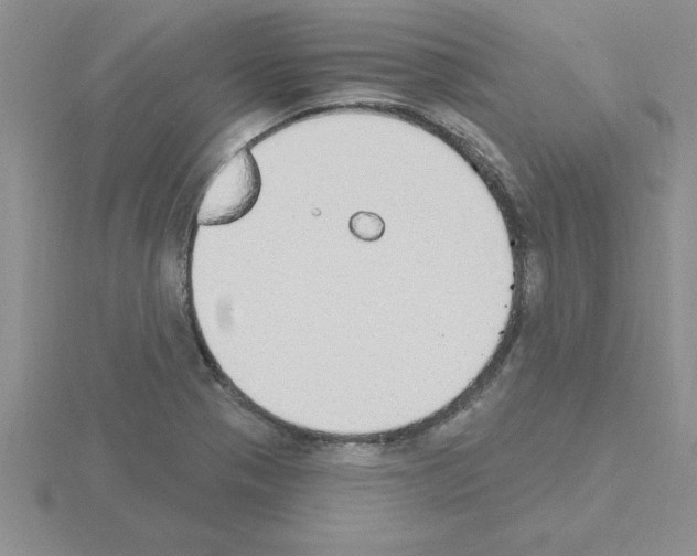 X0000115421321200912151555