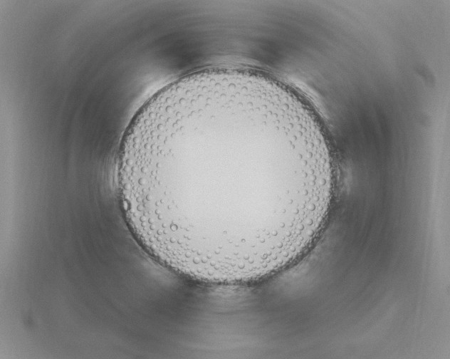 X0000115421322200912151555