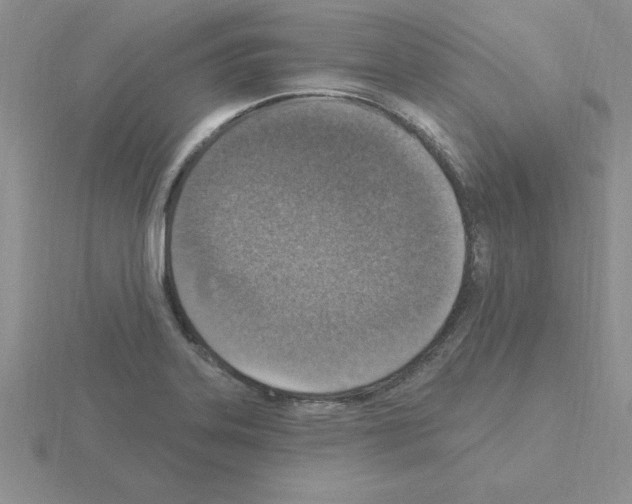 X0000115421323200912151555