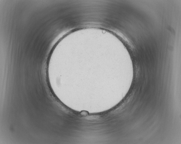 X0000115421325200912151555