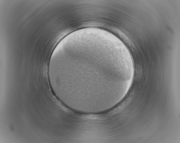 X0000115421329200912151555