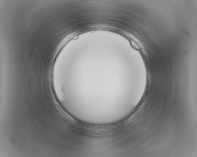 X0000115421330200912151555