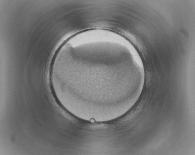 X0000115421331200912151555