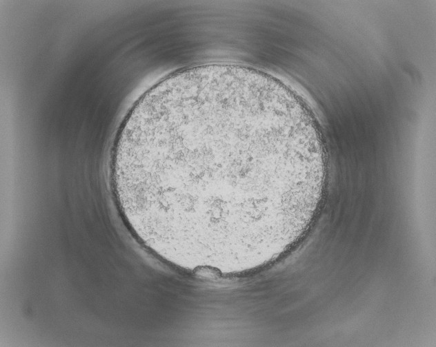 X0000115421333200912151555