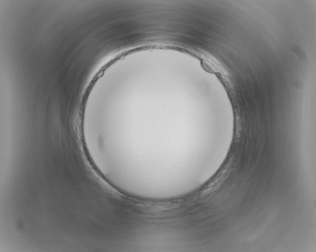 X0000115421334200912151555