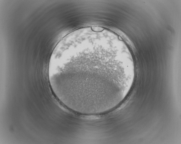 X0000115421337200912151555