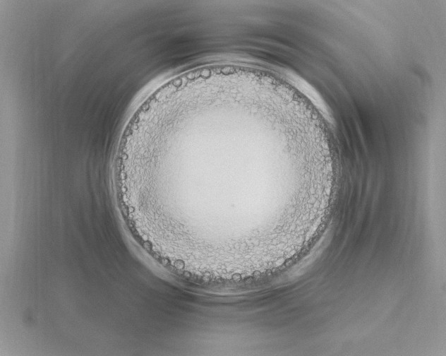 X0000115421338200912151555