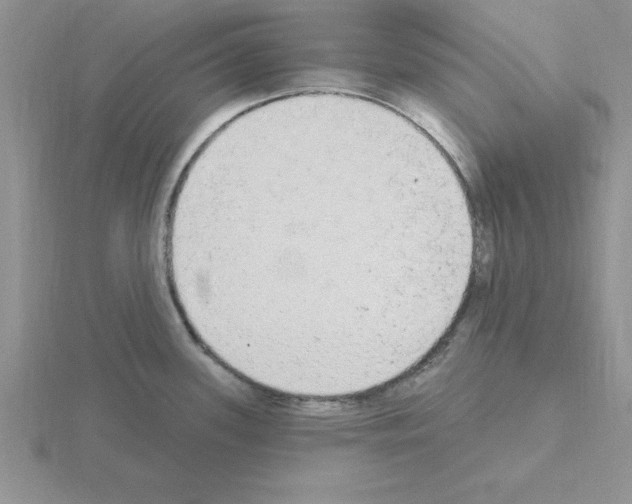 X0000115421339200912151555