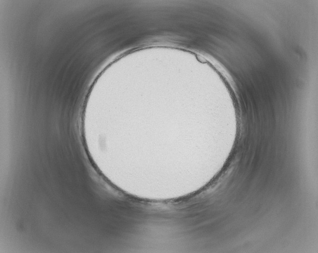 X0000115421341200912151555