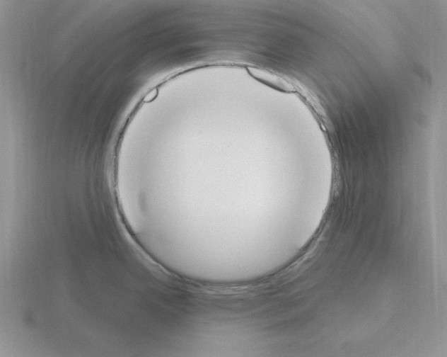 X0000115421342200912151555