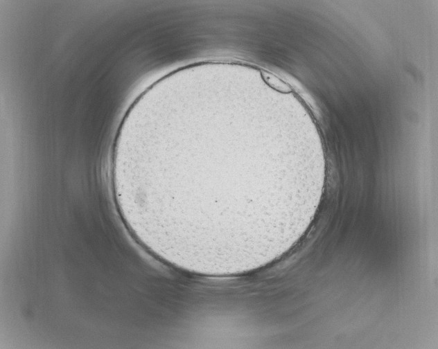 X0000115421343200912151555