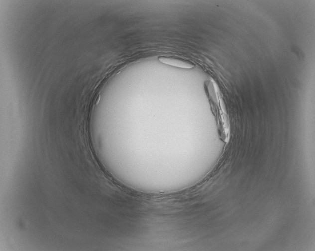 X0000115421345200912151554