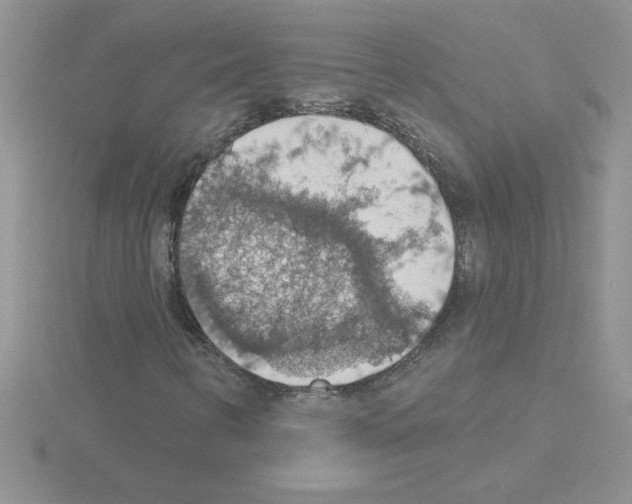 X0000115421346200912151554