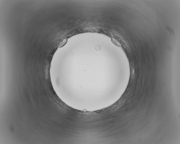 X0000115421348200912151554