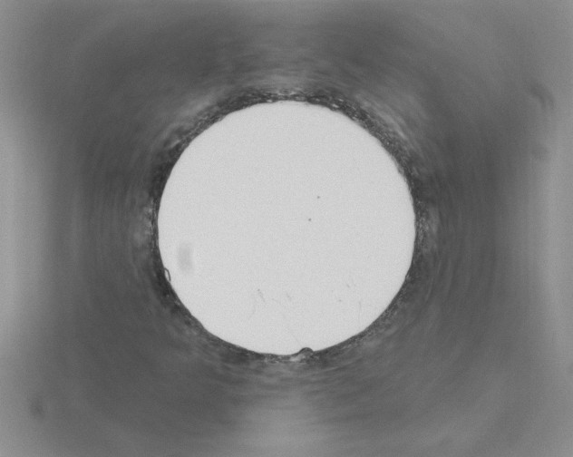 X0000115421349200912151554