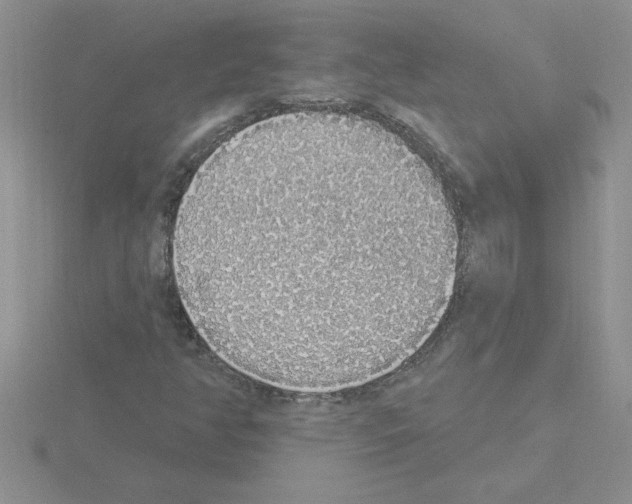 X0000115421350200912151554