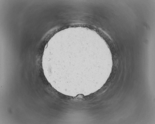 X0000115421351200912151554