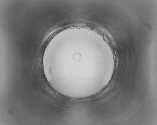 X0000115421352200912151554