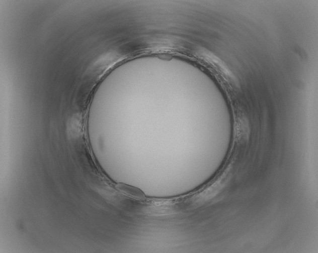 X0000115421353200912151554