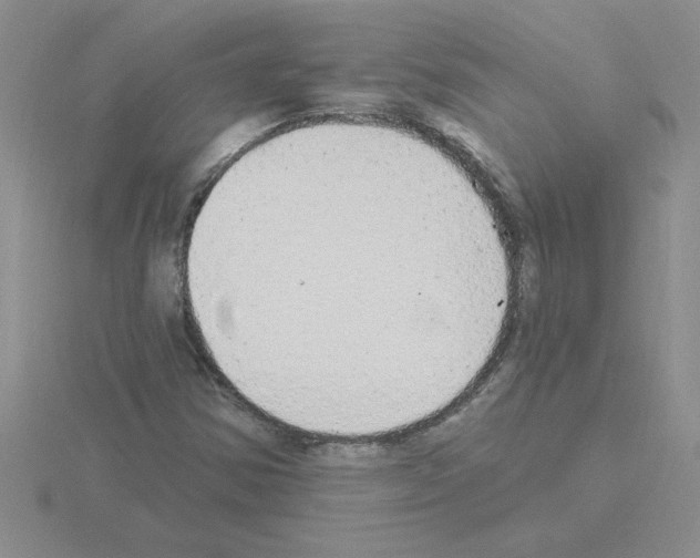 X0000115421354200912151554