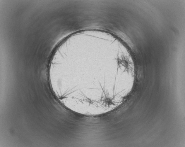 X0000115421356200912151554