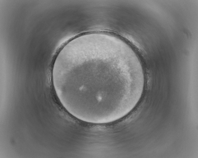 X0000115421358200912151554