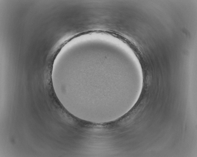 X0000115421359200912151554