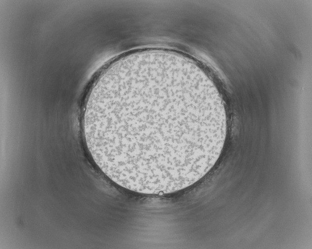 X0000115421360200912151554