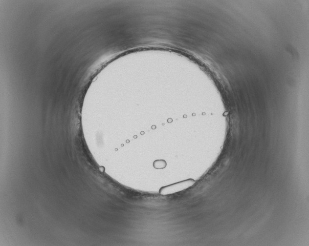 X0000115421363200912151554