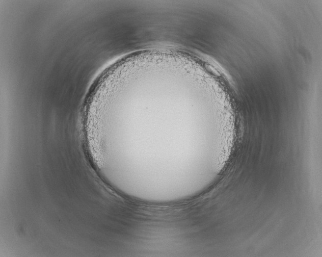 X0000115421364200912151554